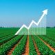 Agronegócio em Ascensão: Oportunidades de Investimento na Bolsa de Valores.